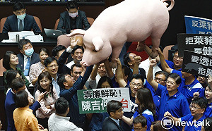 看「一豬當先 諸委在後」多荒謬  連陳時中江啟臣都笑了