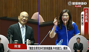 鄭麗文質詢怒飆15分鐘嗆下台 蘇貞昌越笑越燦爛