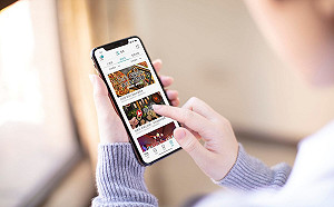 北市熊好券今晚意願登記截止！共113.5萬份好康別錯過