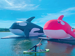 旅遊清單快更新！台南下半年新增的4處拍照亮點一次看