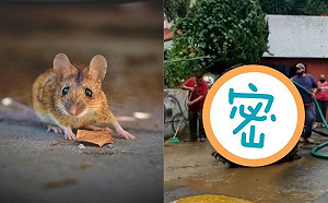 雨彈轟炸！下水道沖出1樓高「變種米奇」　當地人全發毛