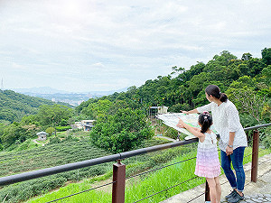 去貓空不只喝茶！10/1在地導覽揭茶鄉歷史文化