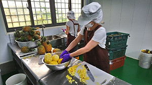 創夢市集》規模化與品質控管  「格外農品」在M型果醬市場中找到破口(下)