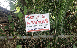 快訊》驚爆群聚感染！新北三峽又增9例本土登革熱  目前已14人確診