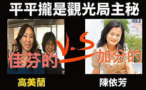 韓粉出征轟高市府搞「閨密」翻版 網自製圖表反嗆：拜託差很大！