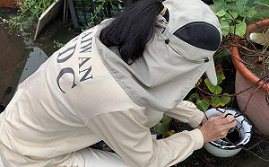 一發不可收拾？本土登革熱群聚感染再增3名已累積19人確診