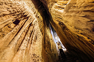 門票一律半價！墾丁國家森林遊樂區整修年底前大優惠