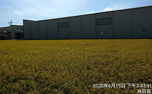 民眾檢舉農地違章150件僅拆1件 環團：「即報即拆」淪空談