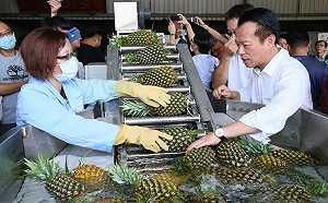 智能化省工省時設備  助嘉縣科技青壯農成功搶灘