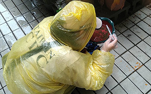 群聚感染擋不住？！新北市五寮里本土登革熱今日再添4例