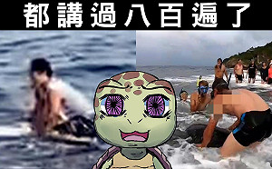別手癢摸海龜！海委會：你也不喜歡被陌生人摸頭或熊抱吧？