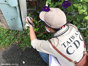 本土登革熱Hold不住？疾管署：新北五寮里再添3人  群聚感染累計達42人