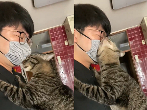 (影)每早堅持打氣儀式的極品貓　主人：「我會努力工作買罐罐！」