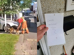 (影)愛犬每天庭院等司機好友給摸摸　兩周不在家信箱裡竟藏驚喜！
