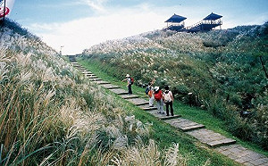 雙十連假   新北推7條燃脂遊程