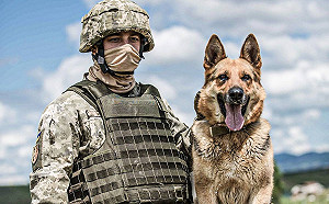 因應中國強勢崛起  北約聯軍制訂新戰略打擊「恐怖主義」