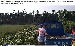 蔡正元痛批民進黨花納稅人錢棄蕉  潘孟安:綠肥及廚餘餵豬用