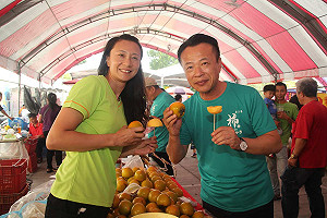 嘉義縣番路柿子節登場  翁章梁：今年柿子甜又好吃