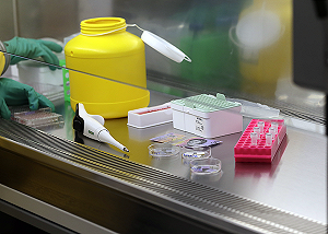 新冠病毒可在特定表面存活28天！澳洲研究：包括手機螢幕、鈔票