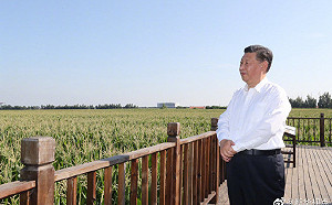 ｢全球最多肥胖人口國家｣中國公布官方最新數據：逾50％成年人過重