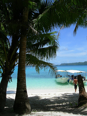 可以出國玩了？！莊人祥：帛琉旅遊泡泡 研議當中！