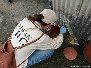 新北本土登革熱再增1例！疾管署：北部近期多雨  務必加強環境清潔