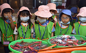 食農教育從幼兒園開始  嘉縣布新幼兒秋天賞蟹吃蚵