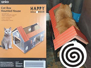 「浩呆」媽買錯紙貓屋尺寸　橘貓硬要擠：沒關係我塞得下！