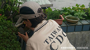 本土登革熱Hold不住？再增2例區域疑擴大   疾管署：新北病例占總數7成