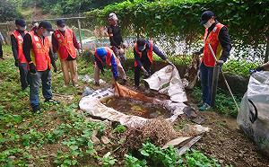 防登革熱疫情蔓延   新北備役替代役男孳清百坪空地