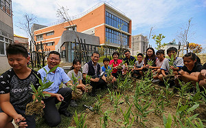 上楓圖書館獲國家卓越建設獎  中部第一座鑽石級綠建築