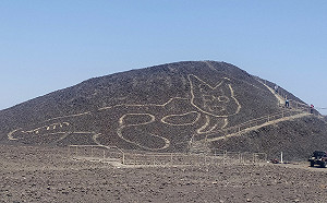 秘魯文化部：找到2000年前大型貓科動物的神秘圖騰