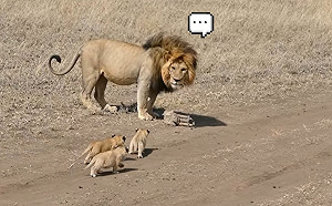 (影)趁孩不注意爸倉皇偷溜　下秒見小獅全屁顛跟上：讓偶靜靜啊～