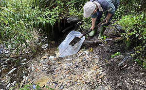 太平山清潔員「廚餘倒山坡」羅東林管處：森林法開罰