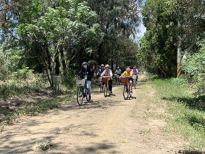 7公里定向越野挑戰！鰲鼓濕地森林競速還能欣賞秀麗風景