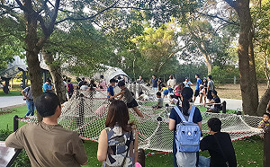 鐵砧山遊客激增6倍 重振大甲小鎮魅力