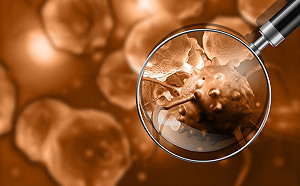 印度怪病通報人數高達800多例 WHO將派專家調查