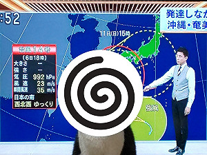 主播報氣象遭「牠」亂入　網笑：這颱風我可以！