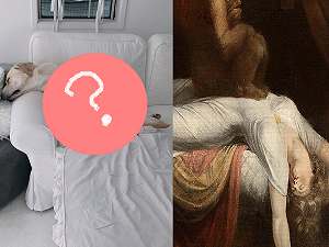 拉拉一覺睡成「世界名畫」　網笑稱：睡姿自由式冠軍！