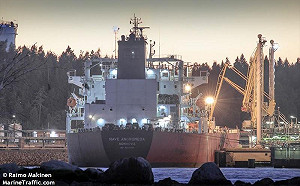 神救援！英神秘SBS特種部隊攻堅油輪 逮7偷渡客