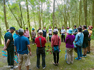滿滿芬多精！蓮華池林園嚮導 今開放預約療癒體驗