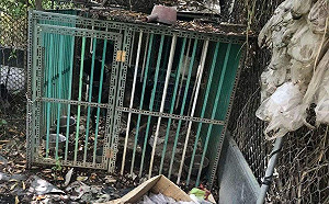 毛小孩住在垃圾堆  嘉縣飼主遭罰3千元
