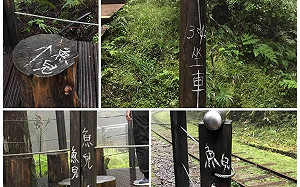 太平山又遭破壞！「魚兒」佈滿木柱 網怒：無腦