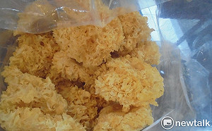 白木耳竟有生長調節劑！北市抽檢中藥材3件不合格