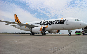 民眾搶買機票官網一度當機！台灣虎航道歉：延長銷售時間