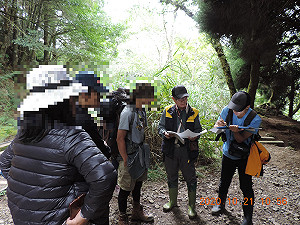 9至10月開出22張罰單！擅闖一葉蘭自然保留區最高可罰15萬