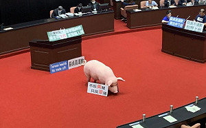 羅智強「我有三高」笑話諷陳時中！  3小時飆1.6萬人按讚