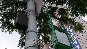 小綠人閃爍動畫將取消！卓榮泰：避免把握最後衝刺機會錯誤的認知