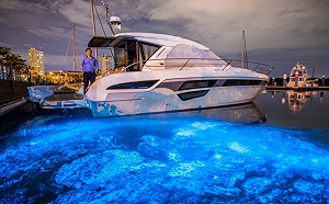 亞果出任務2》危機入市跌破眾人眼鏡 侯佑霖入主燦星旅「先算賠多少」