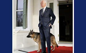 拜登新政府蓄勢待發  哪些人可能擔任要職